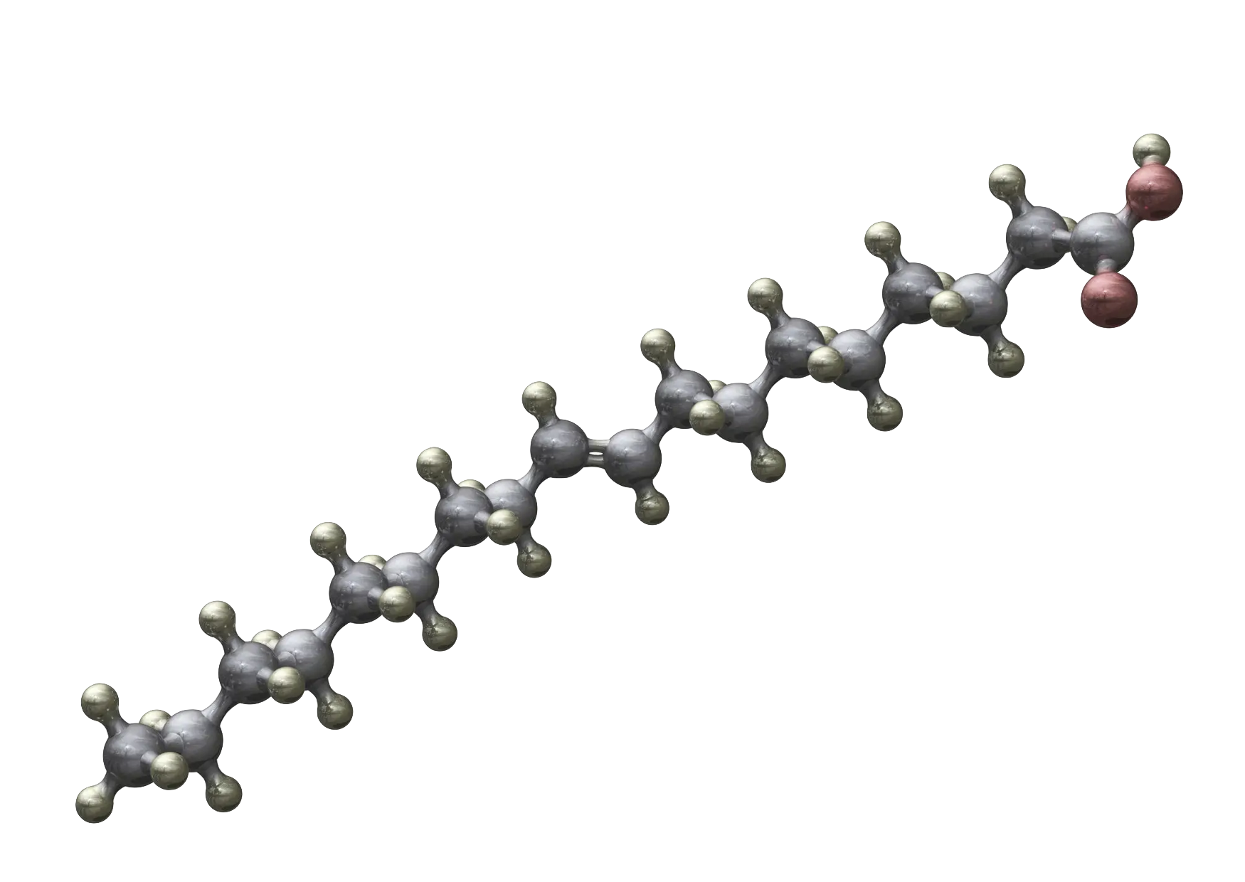 Fatty acid molecule — milk fat