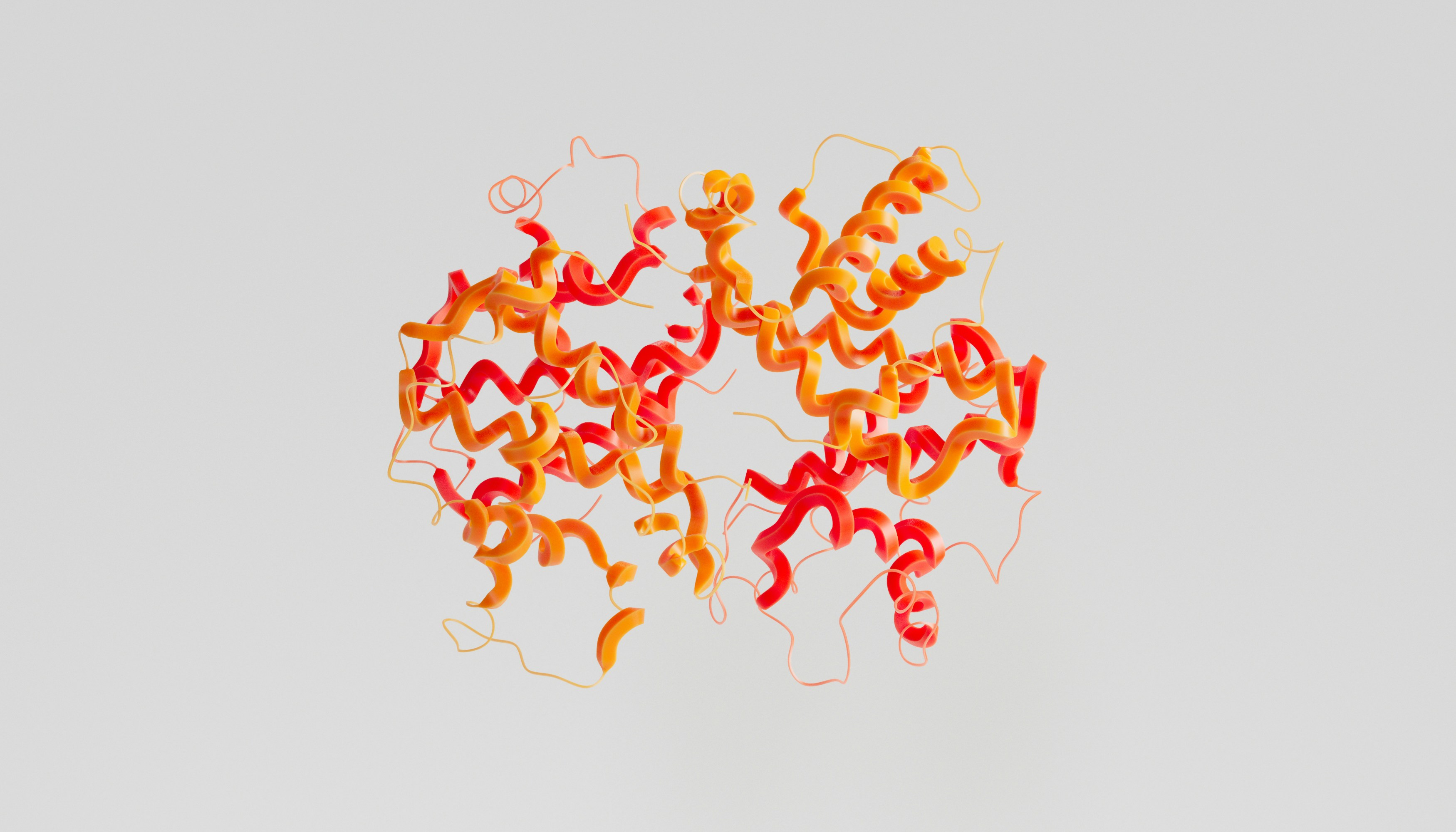 Protein structure